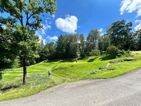 Lot Hp21 E Old Toccoa Loop Mineral Bluff GA 30559