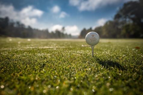 Lot Hp21 E Old Toccoa Loop Mineral Bluff GA 30559