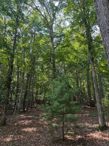 7 Mystic Ridge Blairsville GA 30512
