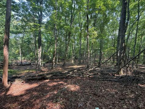 7 Mystic Ridge Blairsville GA 30512
