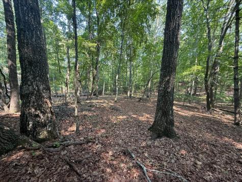 7 Mystic Ridge Blairsville GA 30512