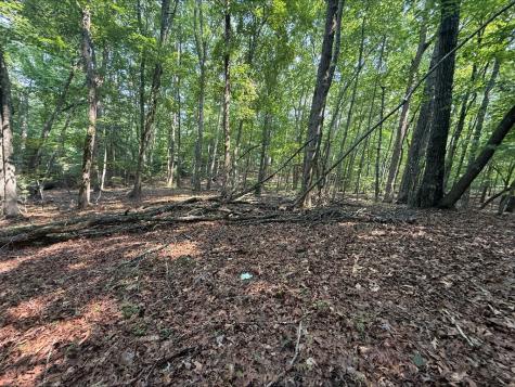 7 Mystic Ridge Blairsville GA 30512