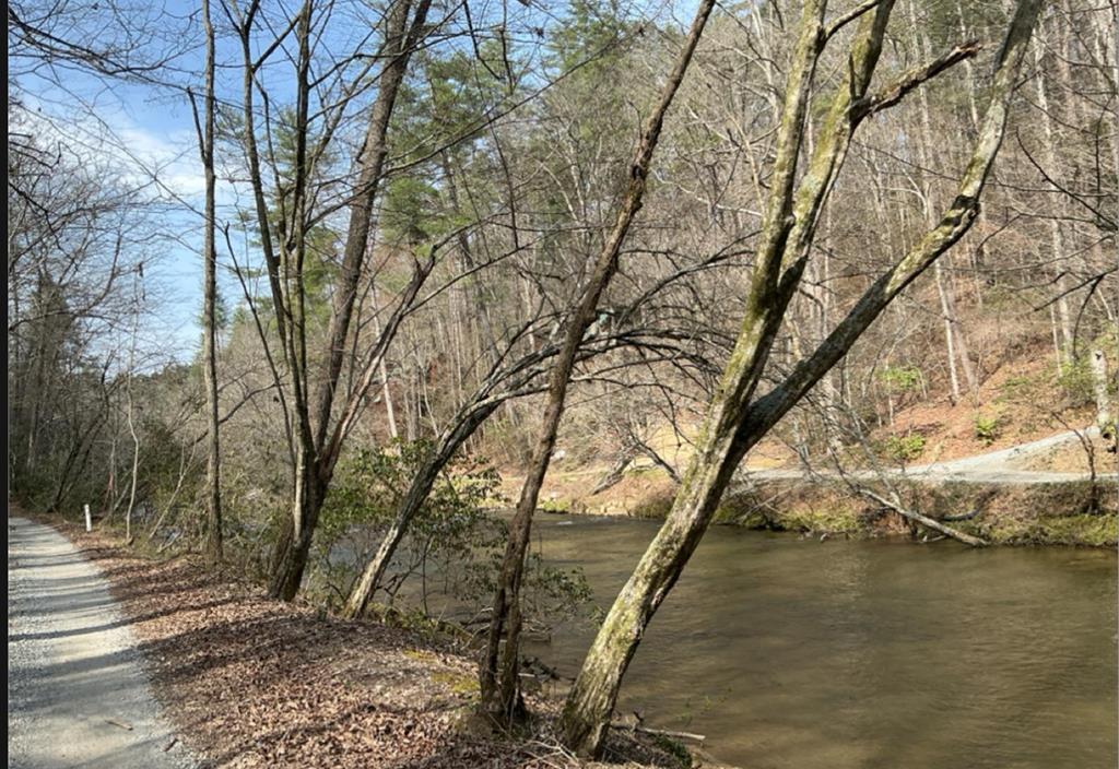 32R Roaring Forks Lane Ellijay GA 30540