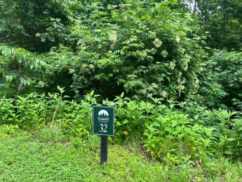 32R Roaring Forks Lane Ellijay GA 30540