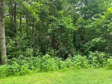 32R Roaring Forks Lane Ellijay GA 30540