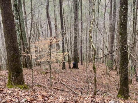 4AC Scenic Way Ellijay GA 30540