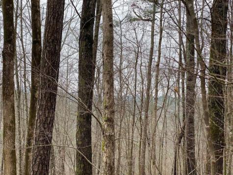 4AC Scenic Way Ellijay GA 30540