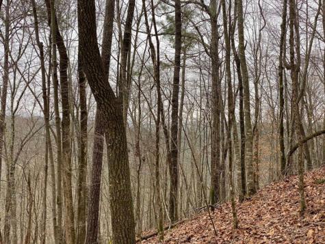 4AC Scenic Way Ellijay GA 30540