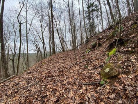 4AC Scenic Way Ellijay GA 30540
