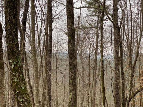 4AC Scenic Way Ellijay GA 30540
