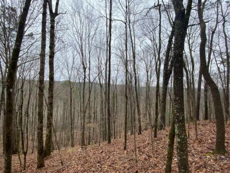 4AC Scenic Way Ellijay GA 30540