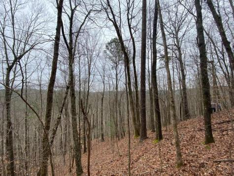 4AC Scenic Way Ellijay GA 30540