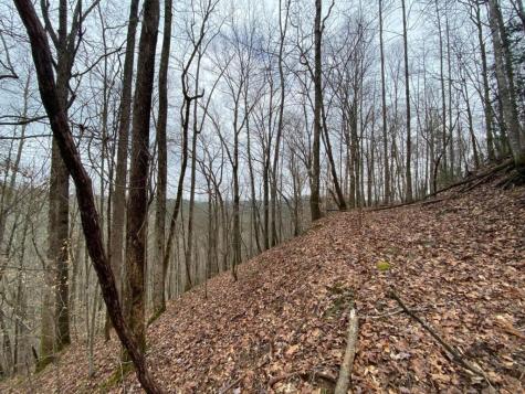 4AC Scenic Way Ellijay GA 30540