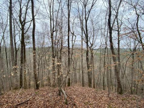 4AC Scenic Way Ellijay GA 30540