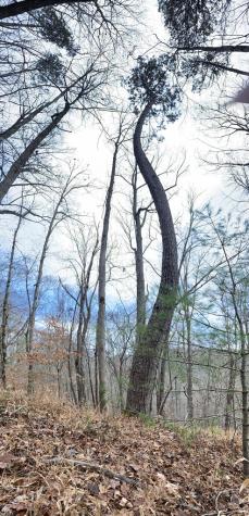4AC Scenic Way Ellijay GA 30540
