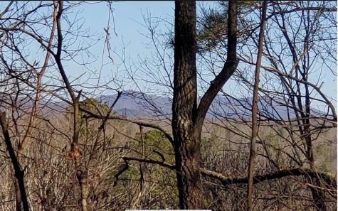 4AC Scenic Way Ellijay GA 30540