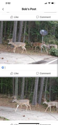 4AC Scenic Way Ellijay GA 30540