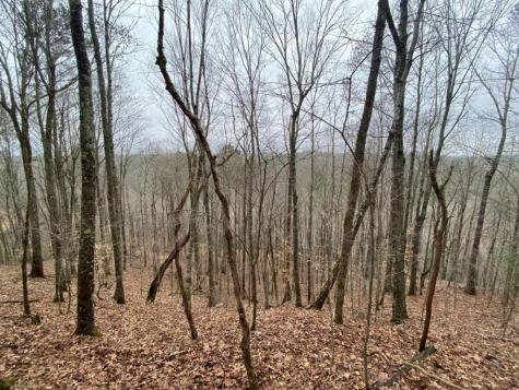 4AC Scenic Way Ellijay GA 30540