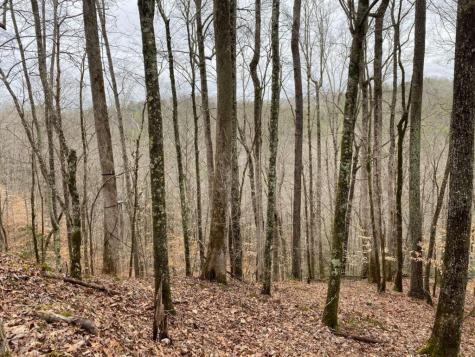 4AC Scenic Way Ellijay GA 30540