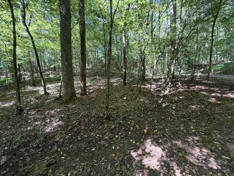 Tr. B&c Bear Hollow Way Cherry Log GA 30522