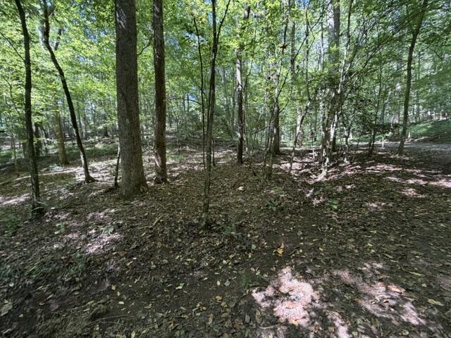 Tr. B&c Bear Hollow Way Cherry Log GA 30522