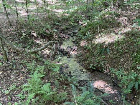 Tr. B&c Bear Hollow Way Cherry Log GA 30522