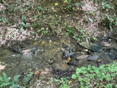 Tr. B&c Bear Hollow Way Cherry Log GA 30522