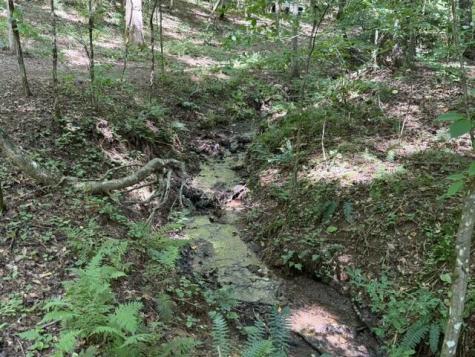 Tr. B&c Bear Hollow Way Cherry Log GA 30522