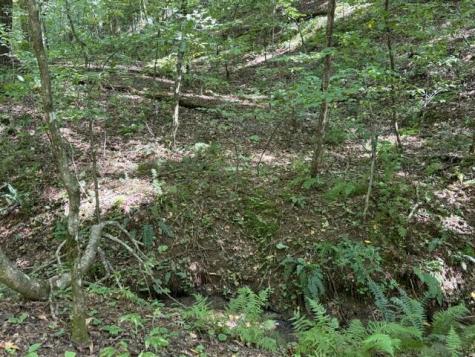 Tr. B&c Bear Hollow Way Cherry Log GA 30522