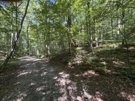 Tr. B&c Bear Hollow Way Cherry Log GA 30522