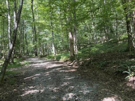 Tr. B&c Bear Hollow Way Cherry Log GA 30522
