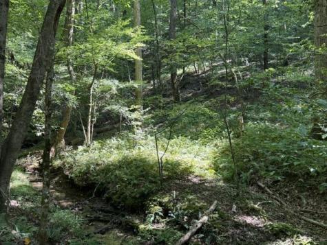 Tr. B&c Bear Hollow Way Cherry Log GA 30522