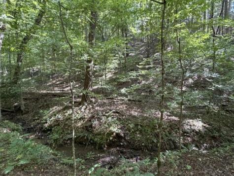 Tr. B&c Bear Hollow Way Cherry Log GA 30522