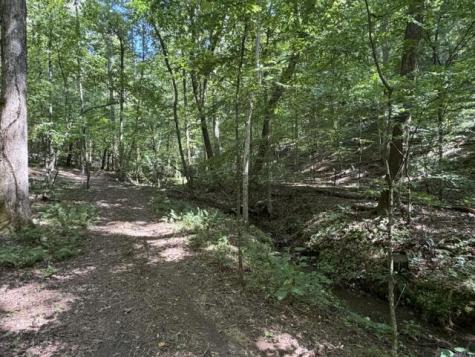 Tr. B&c Bear Hollow Way Cherry Log GA 30522