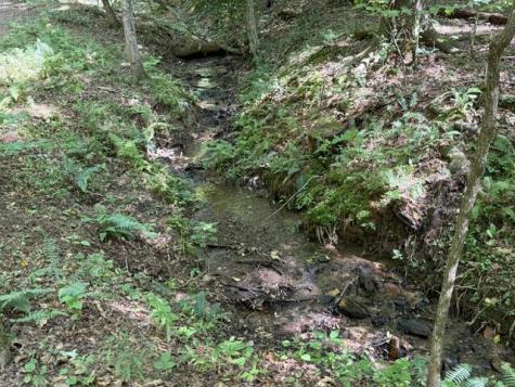 Tr. B&c Bear Hollow Way Cherry Log GA 30522