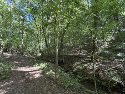 Tr. B&c Bear Hollow Way Cherry Log GA 30522