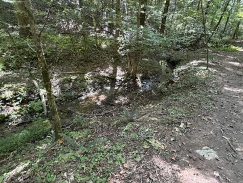 Tr. B&c Bear Hollow Way Cherry Log GA 30522
