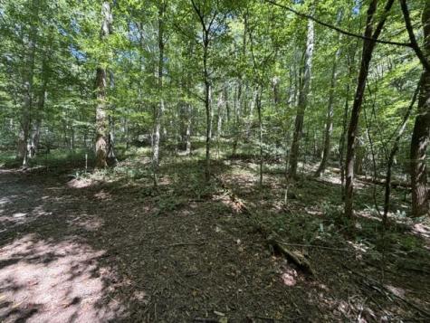 Tr. B&c Bear Hollow Way Cherry Log GA 30522