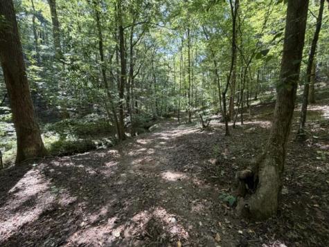 Tr. B&c Bear Hollow Way Cherry Log GA 30522