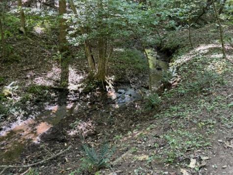 Tr. B&c Bear Hollow Way Cherry Log GA 30522