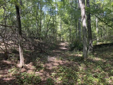 Lt 32 Mission Hill Road Ellijay GA 30540
