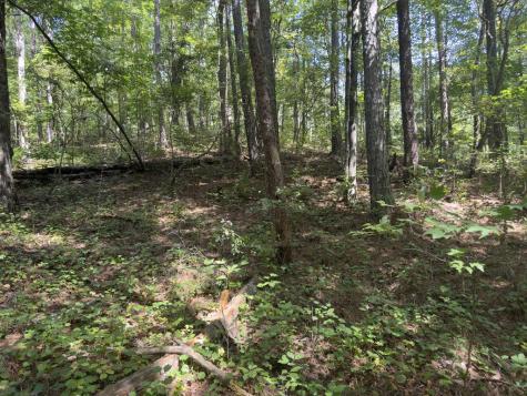 Lt 32 Mission Hill Road Ellijay GA 30540