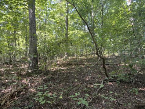 Lt 32 Mission Hill Road Ellijay GA 30540