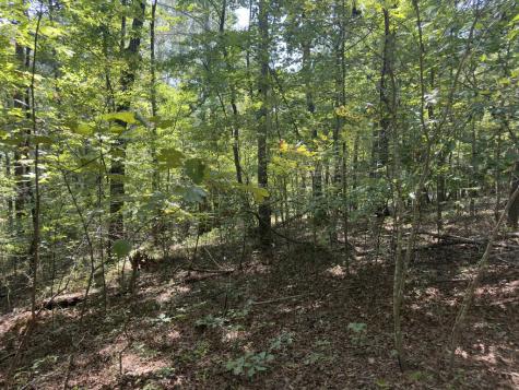 Lt 32 Mission Hill Road Ellijay GA 30540