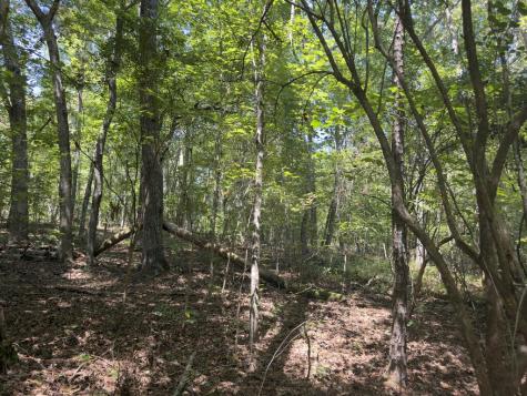 Lt 32 Mission Hill Road Ellijay GA 30540
