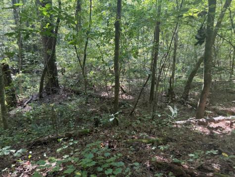 Lt 32 Mission Hill Road Ellijay GA 30540