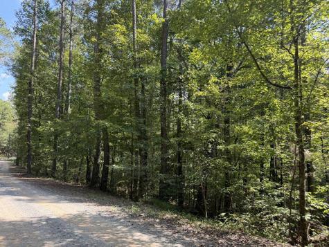 Lt 32 Mission Hill Road Ellijay GA 30540