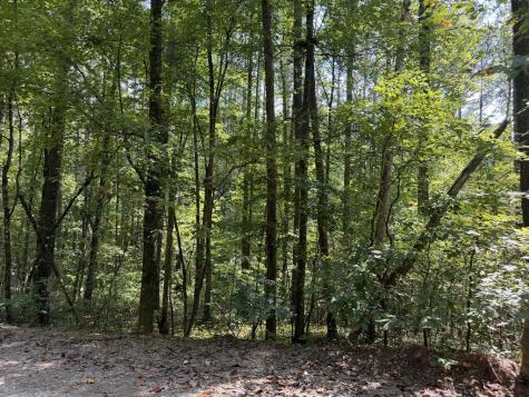 Lt 32 Mission Hill Road Ellijay GA 30540