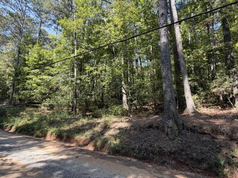 Lt 32 Mission Hill Road Ellijay GA 30540