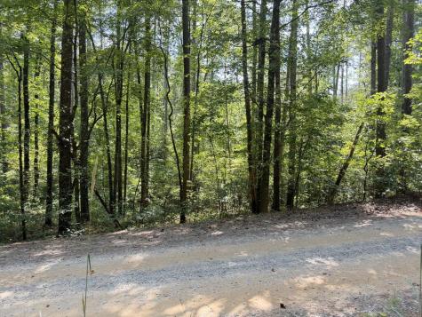 Lt 32 Mission Hill Road Ellijay GA 30540